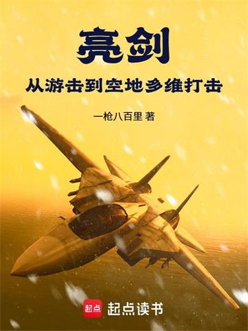 亮剑：从游击到空地多维打击