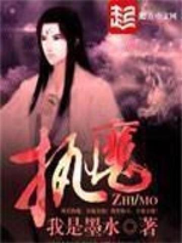 执魔封面图片