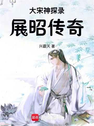 大宋神探录：展昭传奇