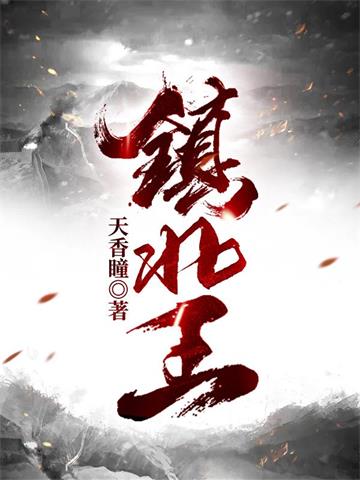镇北王封面图片