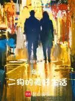 年代，二狗有个物品栏封面图片