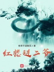 红楼琏二爷封面图片