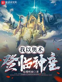 我以奥术登临神座封面图片