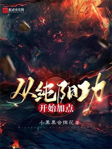 从纯阳功开始加点封面图片