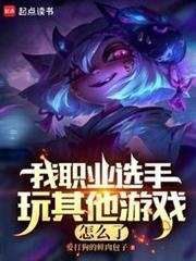 我职业打其他游戏不行？封面图片