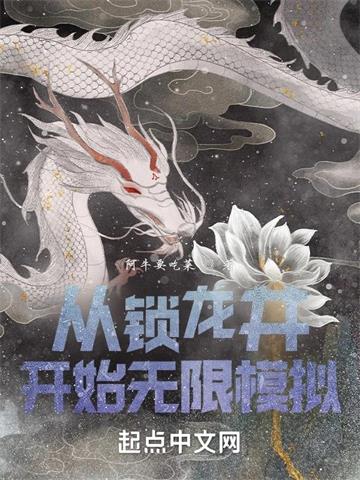 从锁龙井开始无限模拟封面图片