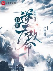 轮回模拟：我能逆天改命封面图片