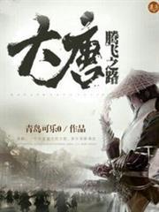 大唐腾飞之路封面图片