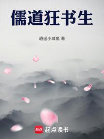 儒道狂书生封面图片