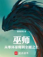 巫师之上封面图片