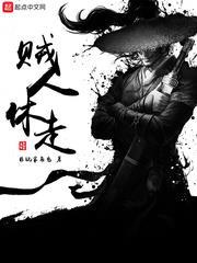 贼人休走封面图片