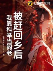 被赶回乡后，我靠科举当阁老封面图片