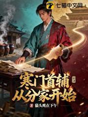 寒门首辅从分家开始