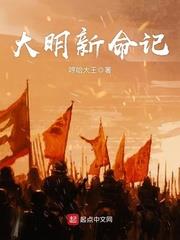 大明新命记封面图片