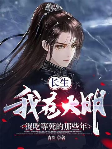 我在大明那些年