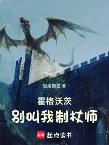 霍格沃茨：别叫我制杖师封面图片
