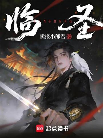 临圣封面图片