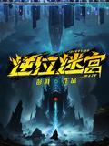 逆位迷宫封面图片